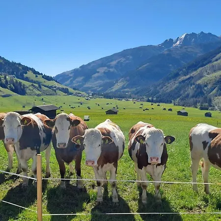 S'peintl * Obertilliach